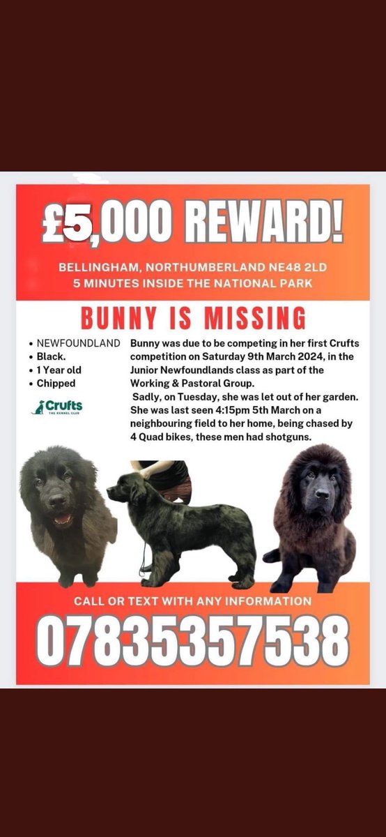 15 days missing where is #GetBunnyhome if you are sitting watching #MAFSAU #EastEnders #KateMiddleton news story #Twitter what ever it is . You must know something . Ring now and be £5000 richer to #GetBunnyhome