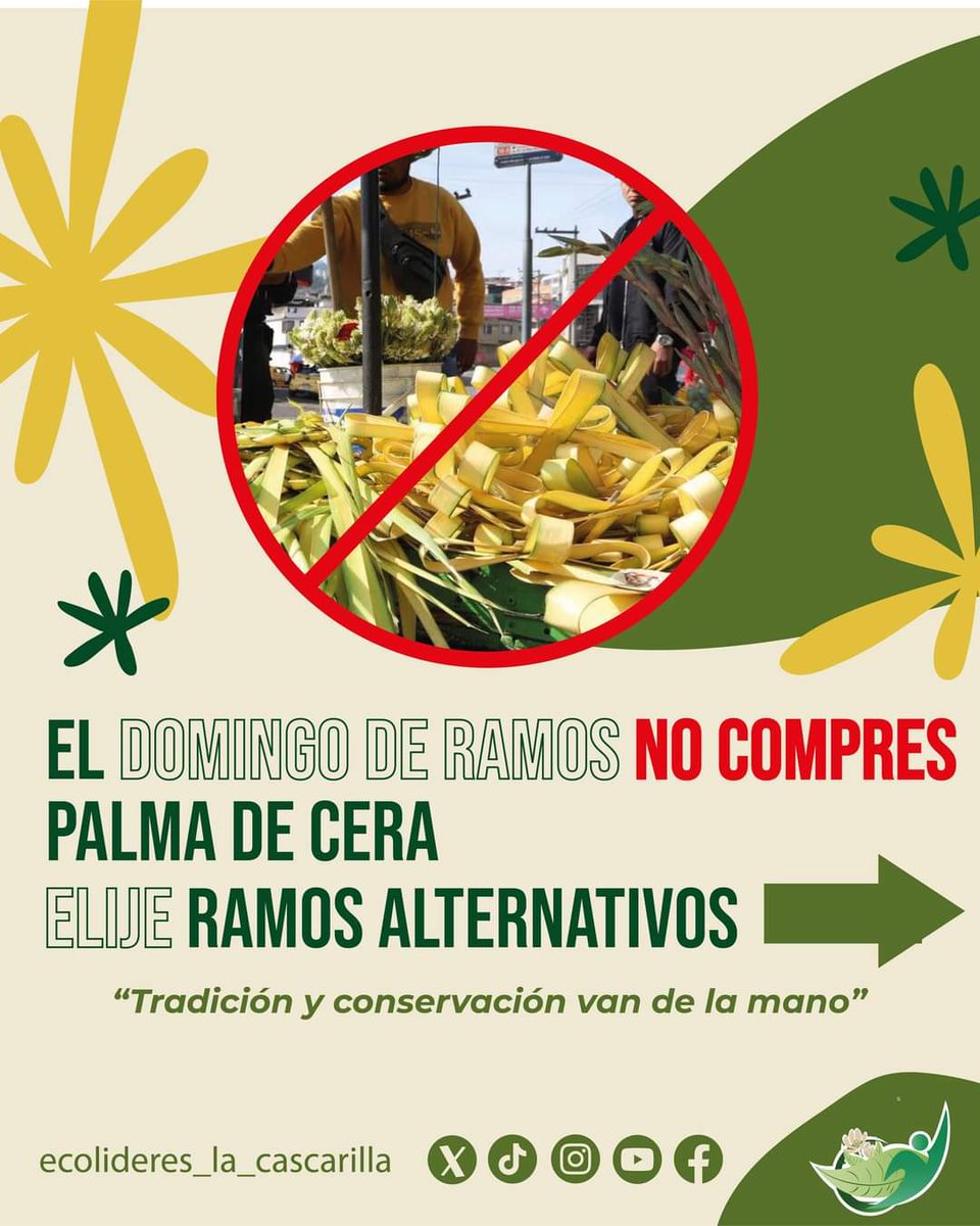 Fundación Ecolíderes “La Cascarilla” tweet media