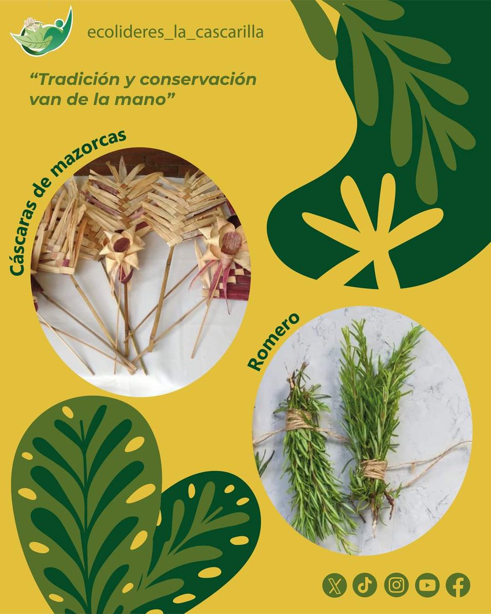 Fundación Ecolíderes “La Cascarilla” tweet media