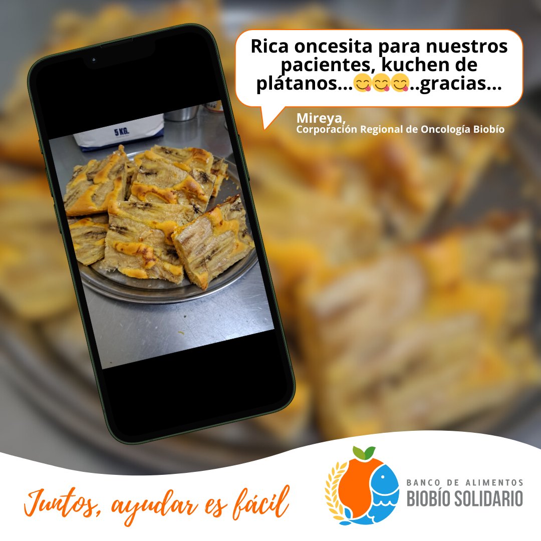 Banco de Alimentos Biobío Solidario tweet media