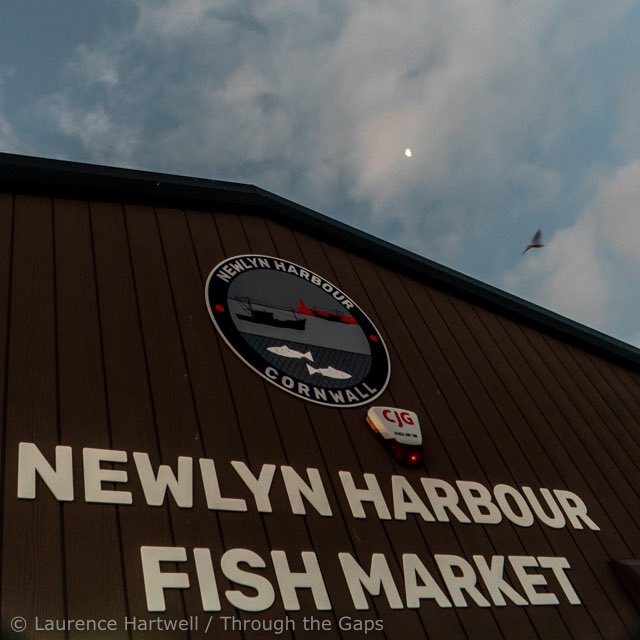 With a Trio of #GillNetters Offering #FreshCornish Mix Whitefish including the 🇬🇧 #Sustainable Fav @MSCintheUK #CornishHAKE … Soon to be Gracing Your #LocalFishmonger / #Restaurant @DirectFish @StevensonNewlyn