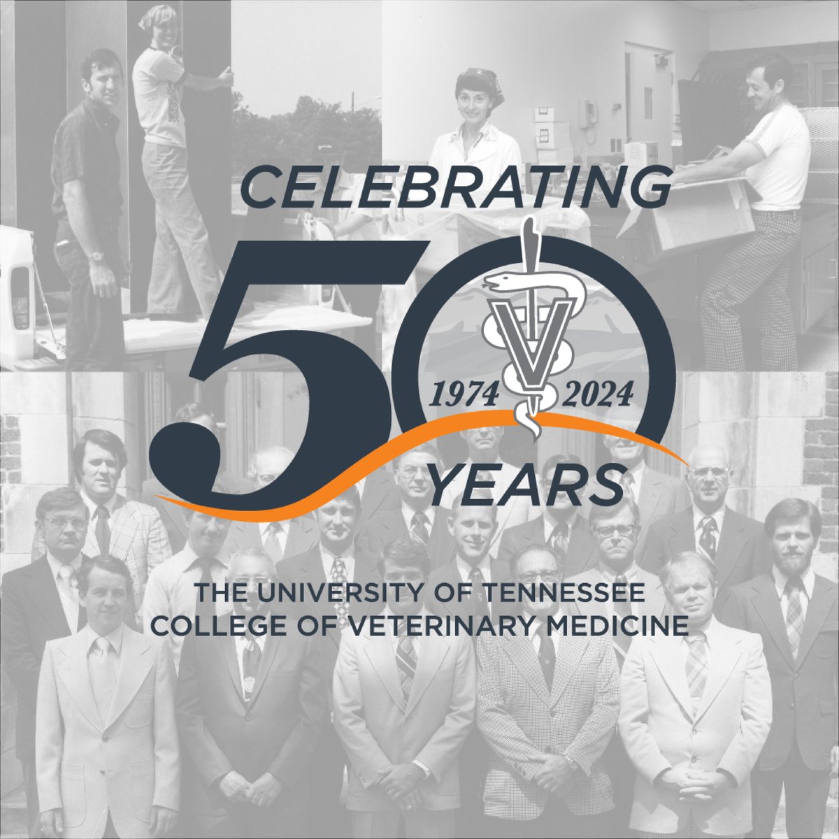 Today marks a special milestone as we commemorate 50 years of excellence at the UT College of Veterinary Medicine! 🎉🐾 Discover the legacy of UTCVM and its vital role in advancing animal, human, and environmental health at vetmed.tennessee.edu/50th-anniversa….