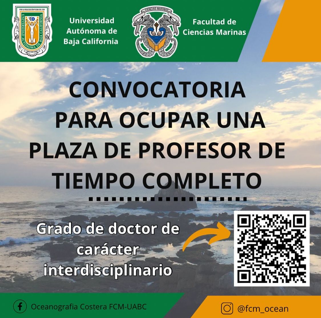 Mujeres sembrando conciencias tweet media