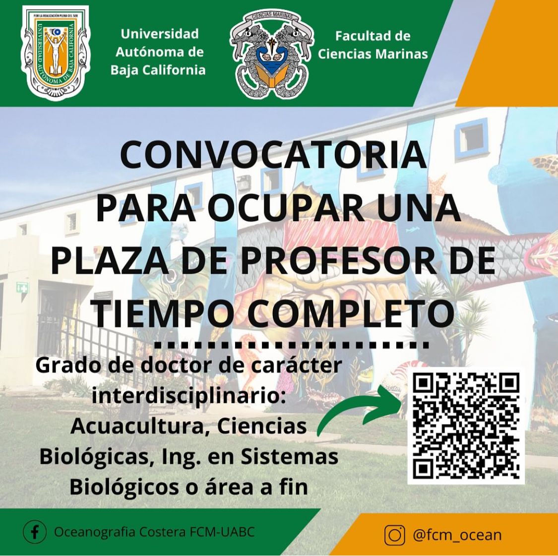 Mujeres sembrando conciencias tweet media