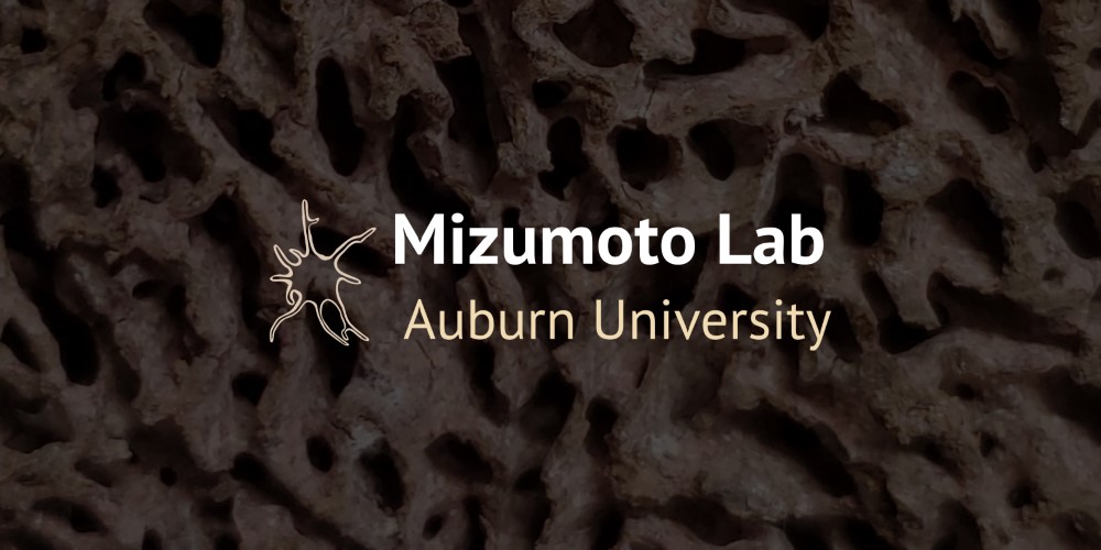I made a new lab website!
mizumoto-lab.com 
Also, I'm looking for a graduate student (master or phd). Please see the link. Thank you!