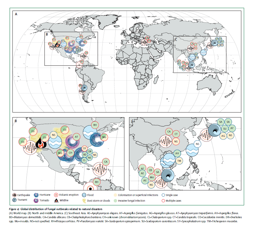 Martin Hoenigl🇺🇦🇦🇹 (@martinhoenigl) on Twitter photo 🔥📰
Impact of Climate Change & Natural Disasters on Fungal Infections
<a href="/LancetMicrobe/">The Lancet Microbe</a>
🙏🏻 to Drs Kontoyiannis & Wurster
<a href="/seidel_dani/">Dani Seidel</a> <a href="/JeffreyJenks5/">Jeffrey Jenks</a> <a href="/GangneuxJp/">JP Gangneux</a> <a href="/MatthiasEgger11/">Matthias Egger</a> <a href="/Ana_Alastruey/">Ana Alastruey</a> <a href="/RosanneSprute/">Rosanne Sprute</a> <a href="/CornelyOliver/">Oliver Cornely</a> <a href="/AnuradhaMyco/">Anuradha Chowdhary</a> <a href="/GRThompsonMD/">George Thompson</a>
authors.elsevier.com/sd/article/S26… 🔥📰
Impact of Climate Change & Natural Disasters on Fungal Infections
<a href="/LancetMicrobe/">The Lancet Microbe</a>
🙏🏻 to Drs Kontoyiannis & Wurster
<a href="/seidel_dani/">Dani Seidel</a> <a href="/JeffreyJenks5/">Jeffrey Jenks</a> <a href="/GangneuxJp/">JP Gangneux</a> <a href="/MatthiasEgger11/">Matthias Egger</a> <a href="/Ana_Alastruey/">Ana Alastruey</a> <a href="/RosanneSprute/">Rosanne Sprute</a> <a href="/CornelyOliver/">Oliver Cornely</a> <a href="/AnuradhaMyco/">Anuradha Chowdhary</a> <a href="/GRThompsonMD/">George Thompson</a>
authors.elsevier.com/sd/article/S26…
