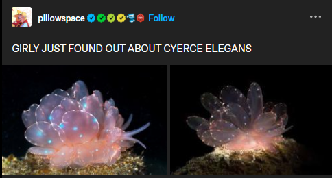 Found a new reference image for Trillin