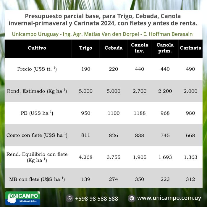 Con estos números hay que sacar bien las cuentas y mejorar el manejo. Bajar el costo de producción no es lo mismo que reducir el gasto por hectárea. Un esfuerzo sobre todo para quienes deben pagar renta.