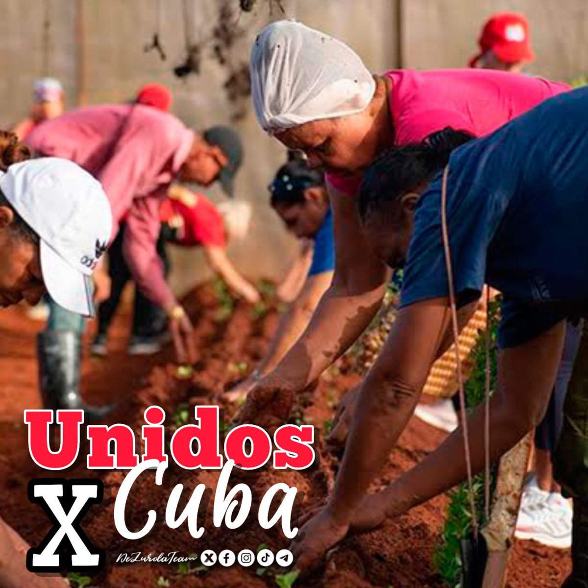 🔔🔔🔔#UnidosXCuba, por nuestra isla rebelde, por nuestra Revolución!!!

#DeZurdaTeam