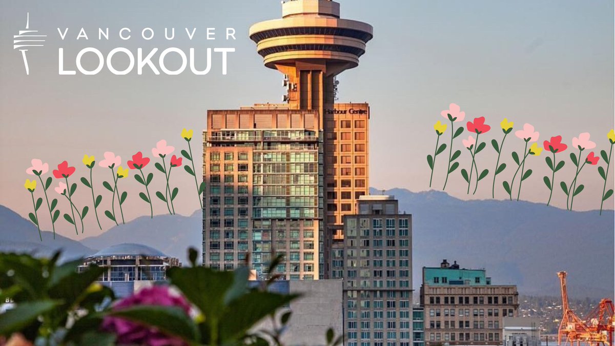 Vancouver Lookout tweet media