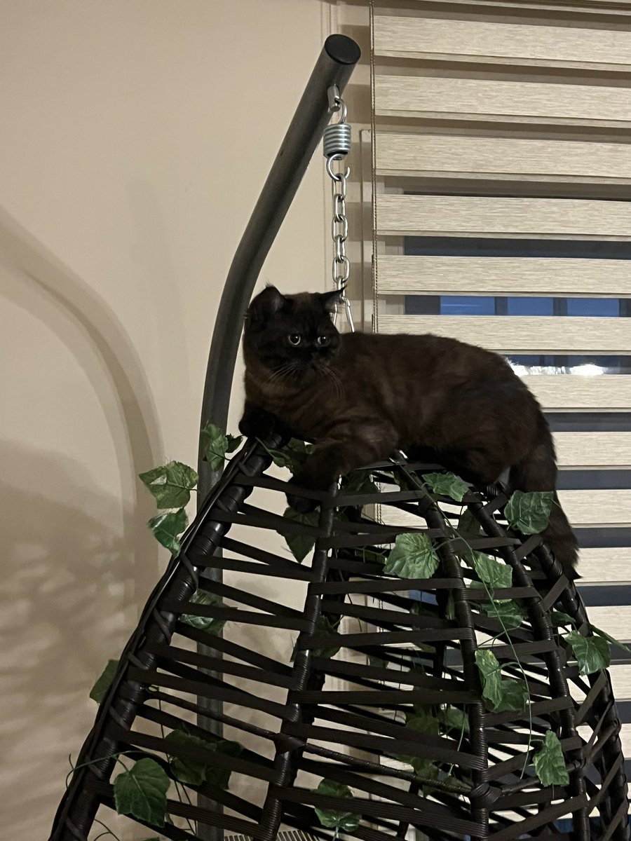 kızım ve oğluşum