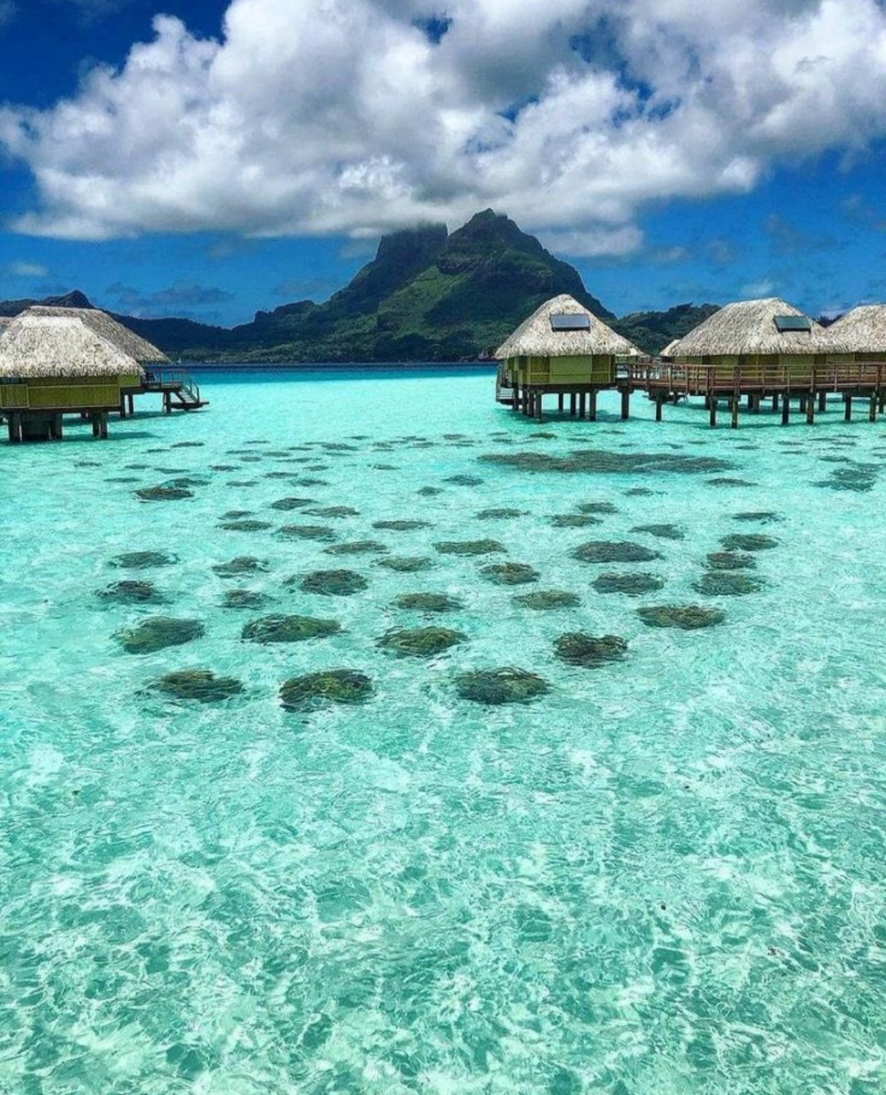 Follow back 👑
<a href="/nena_bovb51/">Nena</a> 
<a href="/YolydeSandoval1/">Yoly de Sandoval</a> 
<a href="/sami86pilang/">🇮🇩🐯𝐋𝐞𝐚𝐝𝐞𝐫'𝐬🐯🇮🇩</a>
<a href="/MotherStar2023/">ナナイロ</a> 
<a href="/Minerva44827476/">MINERVA</a> 
<a href="/Aina_A_to_Z/">Aina ☆ｱｲﾅ🐈☆*.｡.🌟カわュƖ ı絵ヲ描ㄑねｺ🐱ƒ ̵̲˝꒭❤ ✨🐰🦄🏹</a>
<a href="/RPrima789/">🆙✩࿐ 🅱️🅿️riⓂ️a777 🇲🇨</a> 
<a href="/kamelbslfj/">kamel كمال</a> 
<a href="/mohsinali009/">Mahsin Ali</a> 
<a href="/ibaadkhan229427/">ibaadkhan</a> 
@Arlinda79332836 
<a href="/LauraMi25356713/">Laura Miller</a> 
<a href="/sanacha69/">SANA</a> 
<a href="/S_Bodla5/">Safdar Bodla</a> 
<a href="/skmsrs/">AL KHADHER</a> 
@MrBoSss335 
<a href="/ka20747/">الملكي kasim</a> 
<a href="/swift_48/">swift</a> 
<a href="/k50h50/">khaled..S..A</a>