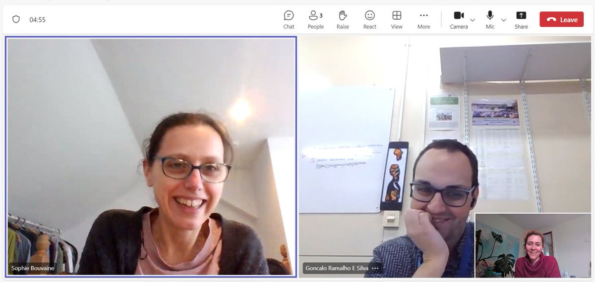 First team meeting in preparation for our new innovation project! 🙌No they didn't know I was taking screenshots, and yes we did spend a disproportionate about of time laughing 😆 #research #PlantHealth #Innovation