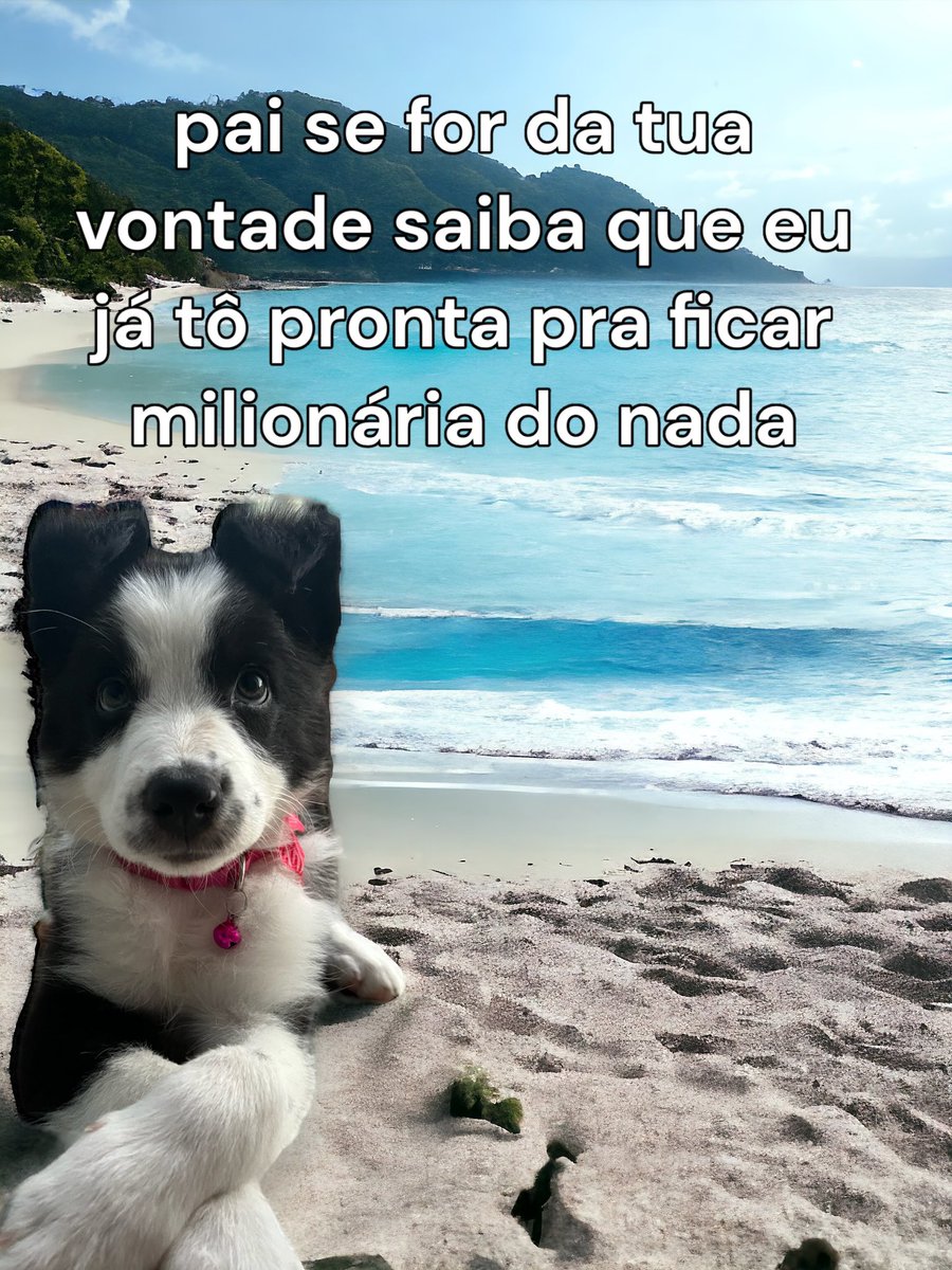 Pandora e Akyra (@pandoraeakyra) on Twitter photo 