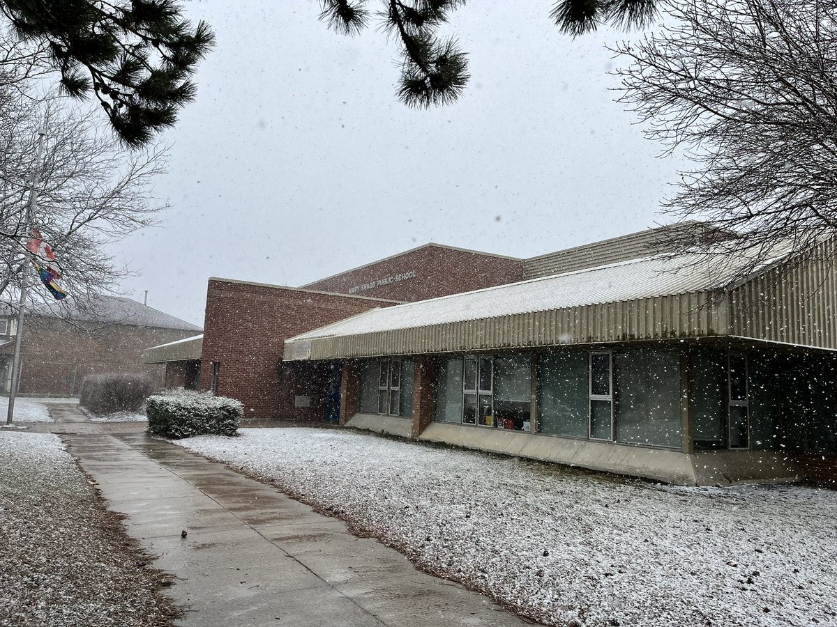 MsABahri's tweet image. The unexpected snowfall couldn’t dampen the enthusiasm of @TDSB_MSPS students delving into their engaging Afterschool Literacy and Numeracy Program on the first day of Spring! ❄️🌸 📚
#SpringSurprise #EducationMatters @TDSB_ConEd @norbert_costa
