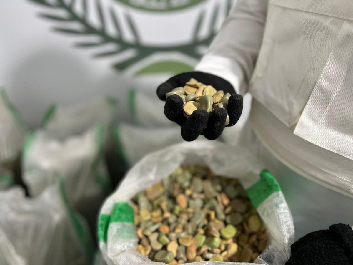 أخبار السعودية tweet media