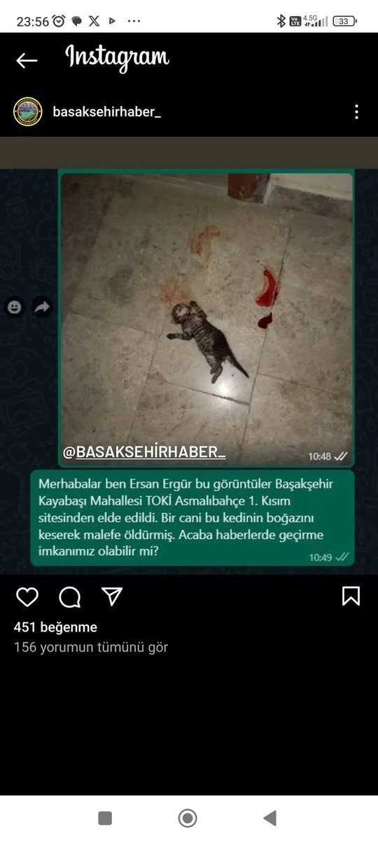 BAŞAKŞEHİR'de OLAYLAR BİTMEYECEKMİ? 
Gerçekten yorulduk artık sn <a href="/BaskshrKaymkmlk/">T.C. Başakşehir Kaymakamlığı</a>