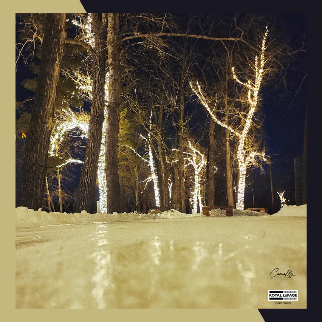 2024 Series 4- Light Up The Ice

Let's make YOUR dreams... Realty!

#photoseries #2024photos #outdoorskating #lights #winterwonderland #amaturephotographer #photography #instagood #casuallypro #dreamstorealty