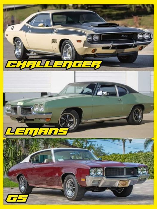 Quality Classics tweet media