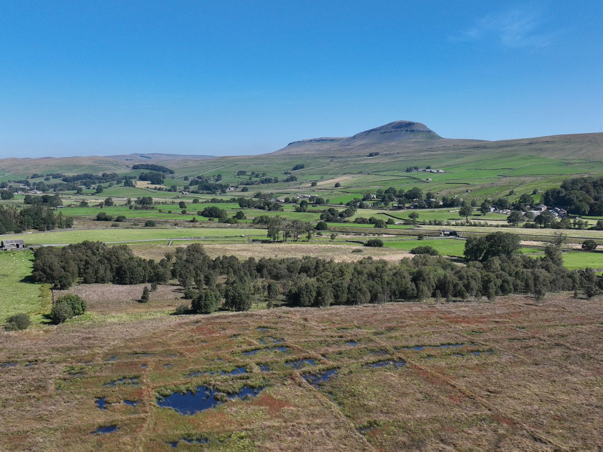 Would you like to get involved with our #DragonsInTheDales Project? We are currently looking for a Peat #Dragonfly Monitoring volunteer 💚 You would be involved in helping monitor populations of Dragonflies and #Damselflies in some of Yorkshire’s #Peatland habitats. 1/2