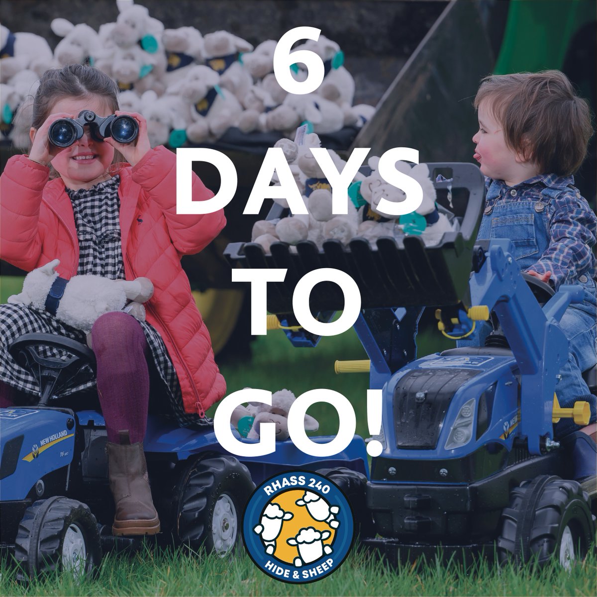 6 DAYS til Hide & Sheep! Are you ready to find our cuddly sheep? Find all our hide and sheep locations at: royalhighlandshow.org/rhass-240/hide… #RHASS240 #HideandSheep