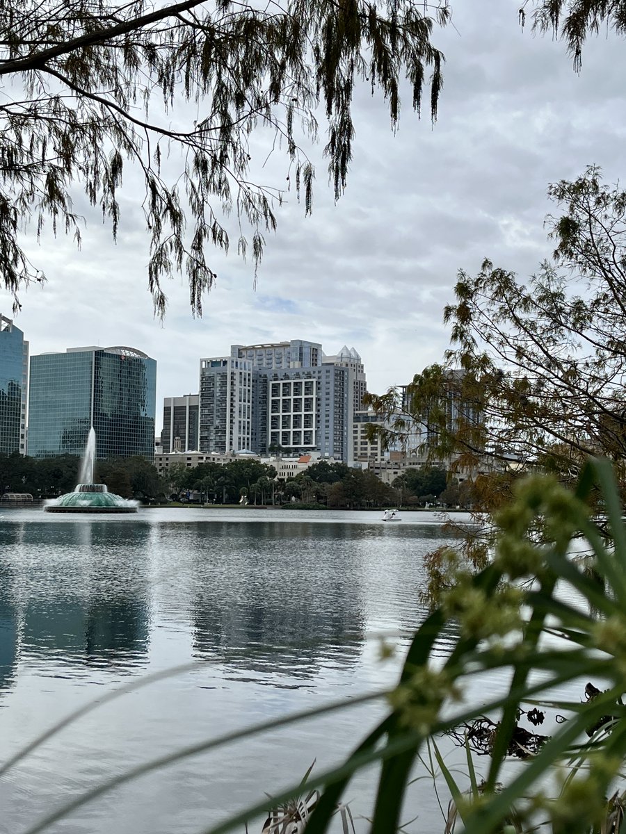 Discover @LakeEolaPark, one of our favorite downtown spots! An easy 20-minute drive from @hyattorlando, the park features a circular track, swan-shaped paddle boats, Walt Disney Amphitheater, spectacular city views and bird inhabitants ready for their closeup. #visitorlando