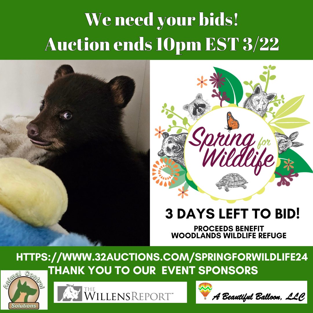 Go WILD! 3 days left to bid! Please SHARE this post and help us gain visibility. Over 130 wild patients have already arrived for care this year and they need your support! 

Auction bidding ends at 10pm Friday
Click here to visit the auction now: 32auctions.com/springforwildl…