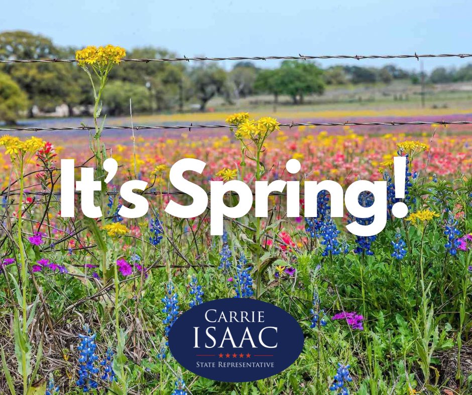 Happy Spring Equinox! Although Texas wildflowers have already been in bloom, today is the first official day of Spring! What’s your favorite wildflower? #spring #springequinox #bluebonnets #texas #wildflowers