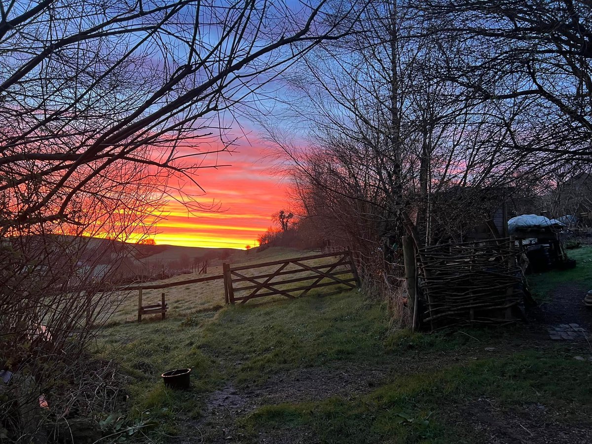 To celebrate the Equinox later tonight, here is a lovely photo of the Devon sunrise, taken by our Trustee, Natalie Ganpatsingh of @NatureNurture CIC.