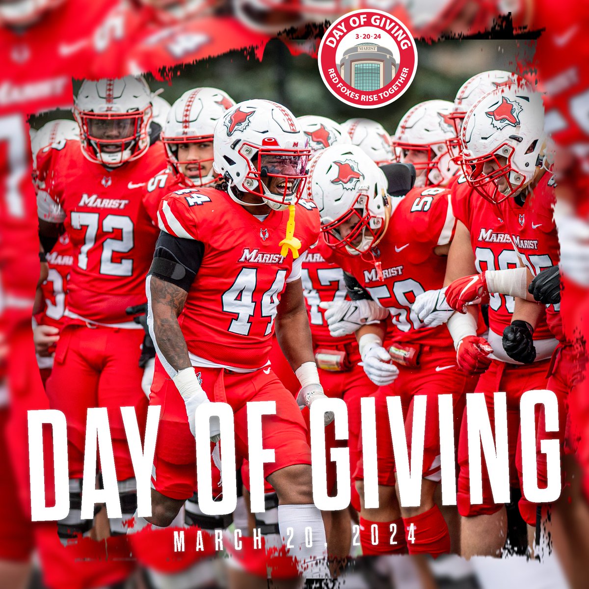 Red Foxes Rise Together! Join us on Marist's FIRST-EVER Day of Giving (3/20) & make a gift to support the future of Marist! Every donation counts! #MaristDayOfGiving #RedFoxesRiseTogether  DONATE: givecampus.com/aes450