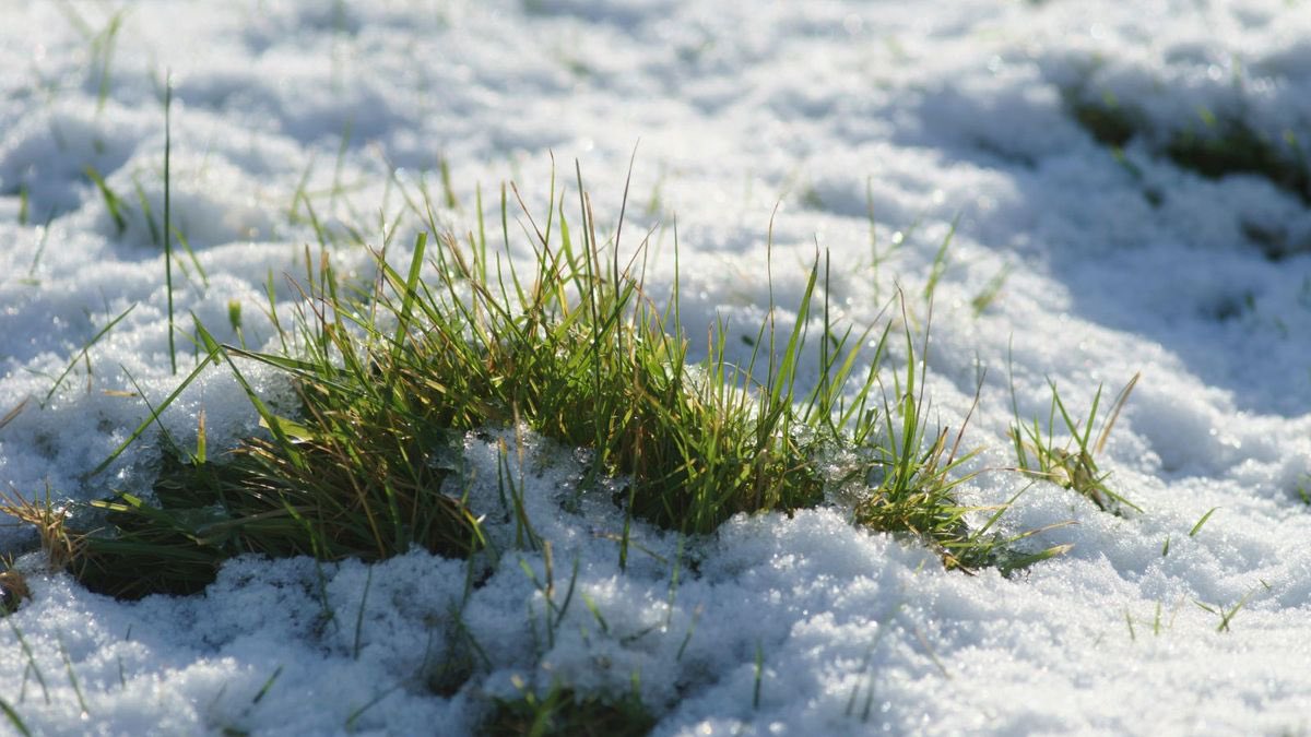 IrrigationMN's tweet photo. Spring decided to hit snooze…. But it won’t be for long! https://t.co/NUTCtvaIoc
