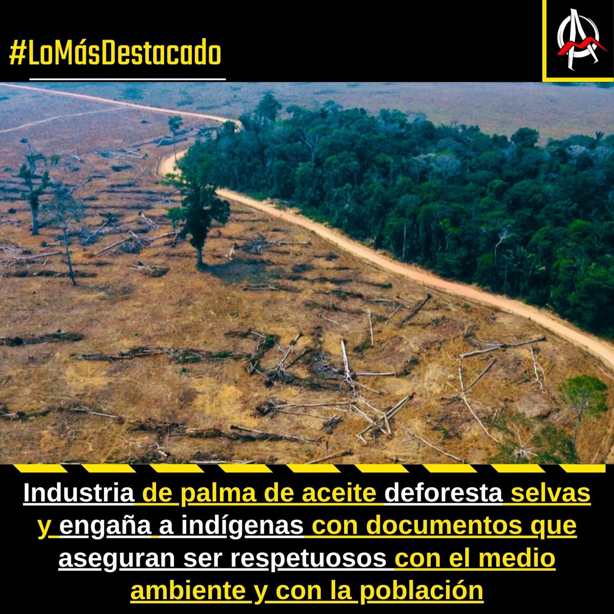 Avispa_Midia's tweet image. La certificadora global #RSPO emitirá la certificación para esta empresa que respalda su producto como #Sustentable 👉 avispa.org/?p=113317 🐝

#Bosques #cop16colombia #COP16 #CambioClimático #CalentamientoGlobal #Guatemala #Brasil #Mexico #Colombia #Honduras #PueblosIndígenas
