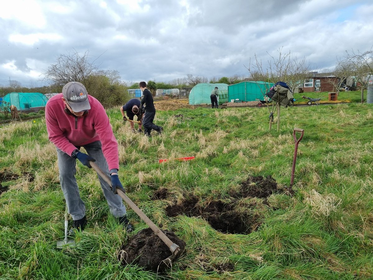 fruitnutvillage's tweet image. We've been working hard at #CastleValeAllotments again today with @CETBrum. 10 new #FruitTrees planted! #GrowTheVillage