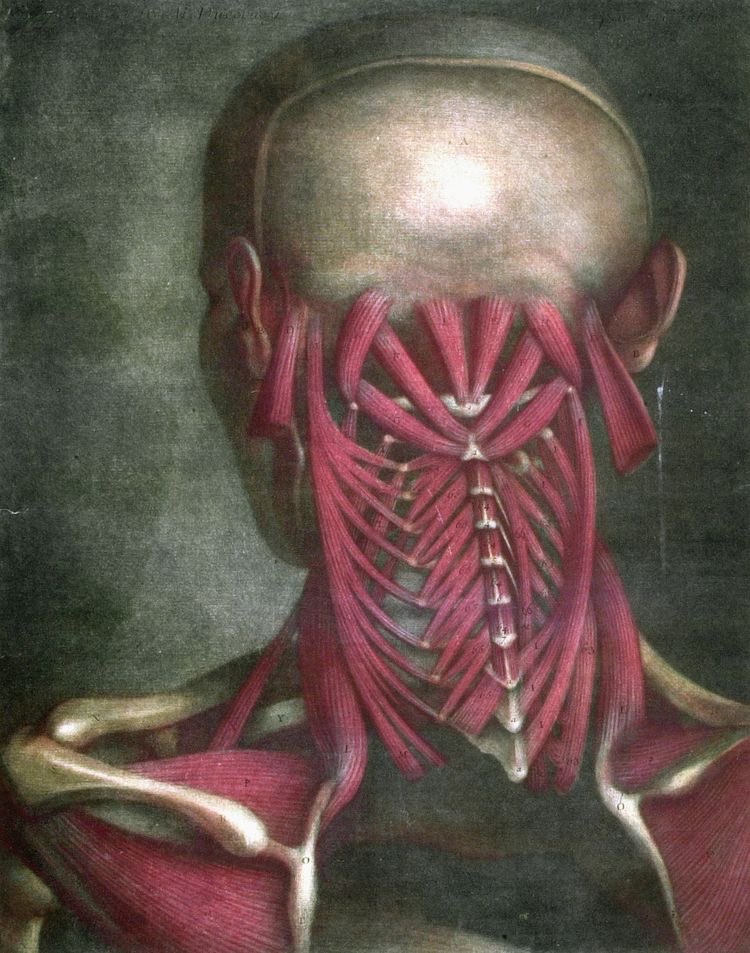 Sean Light tweet media