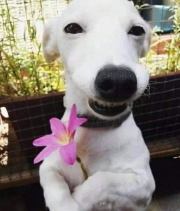k💐🧘🏻‍♀️ (@_karmaisakat) on Twitter photo 