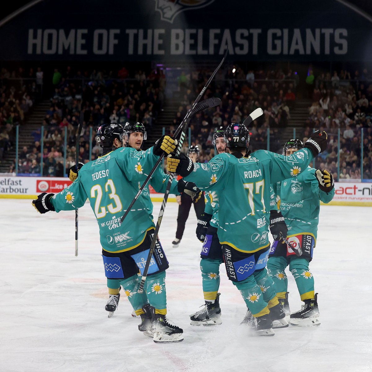 🌼 CANCER FUND FOR CHILDREN RAFFLE 🌼 Enter this GIANT raffle to win a limited edition Belfast Giants Cancer Fund for Children jersey signed by the 23/24 team. PLUS 4️⃣ tickets to the last game of the season when your Giants take on the Steelers on Sat 6th April. 🔥 (1/2)