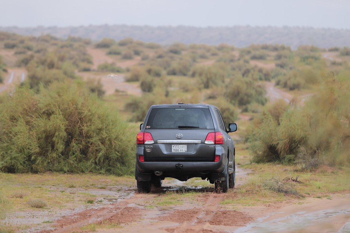 محمد العبيدالله 📸 tweet media