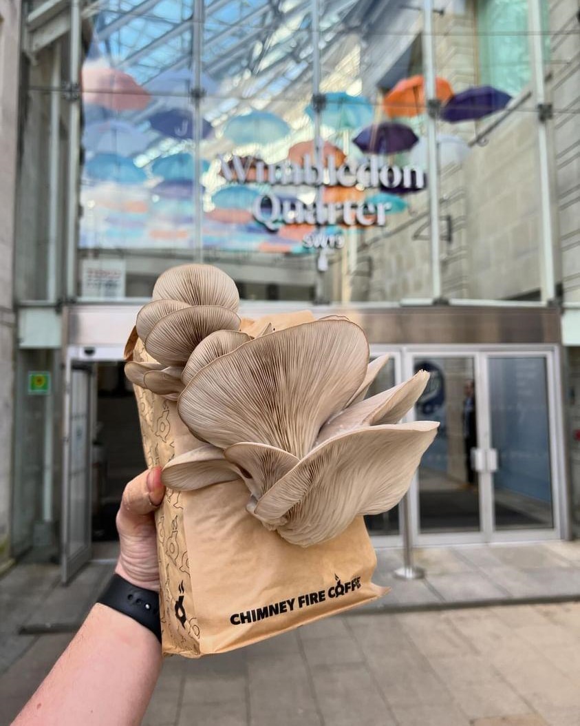 We ABSOLUTELY love this. Thanks to our friends @themuchcompany, Will from Rooftop Farm Wimbledon has been growing oyster mushrooms straight out of our compostable coffee bags! 🍄 #bcorp #sustainablefarming #coffeeroaster #eatlocal