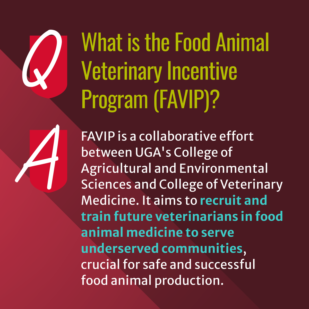 ugavetmed tweet picture