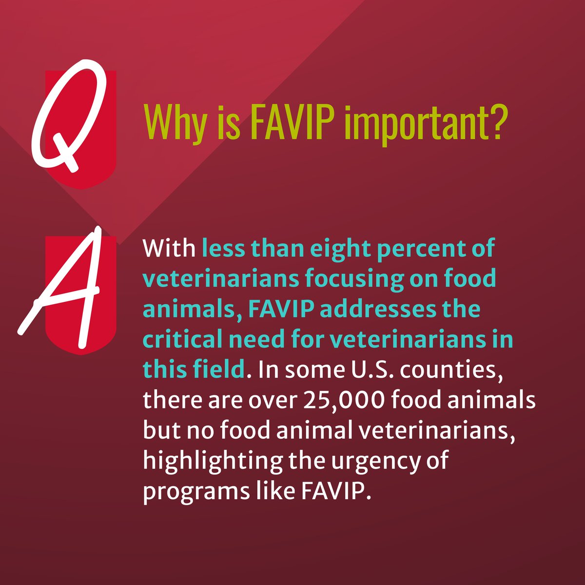 It's #NationalAgWeek AND #GeorgiaAgWeek, which means there is no better time to talk about UGA's Food Animal Veterinary Incentive Program! Keep an eye out this week for insights on food animal veterinarians, UGA’s program, and application details!