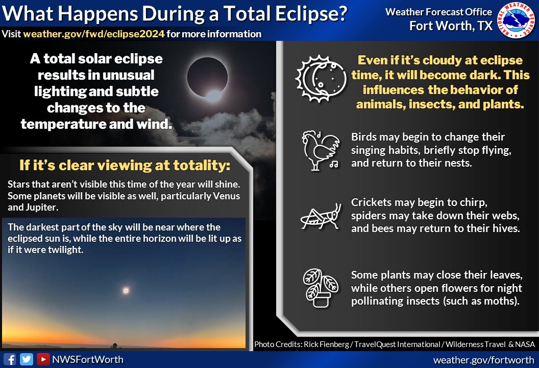 NWSFortWorth's tweet photo. 🤔Wondering what happens during a Total Solar Eclipse? 🌎🌚☀️
Here are some interesting facts about this celestial phenomenon…including meteorological features like subtle changes to the temperature and wind.😲 #Eclipse2024 Countdown to April 8th, 2024 🙌#dfwwx #ctxwx https://t.co/3XLzBCWoV1