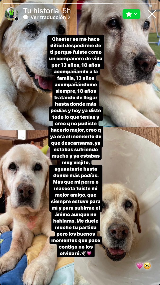 _P_a_u_'s tweet photo. Anoche a las 00:00 nos dejó un vacío nuestro viejito🐶Mi hija le dedicó estas palabras, no tengo absolutamente nada más que agregar. Lo entendió todo #TodosLosPerritosSeVanAlCielo https://t.co/BE0V5TNBUB