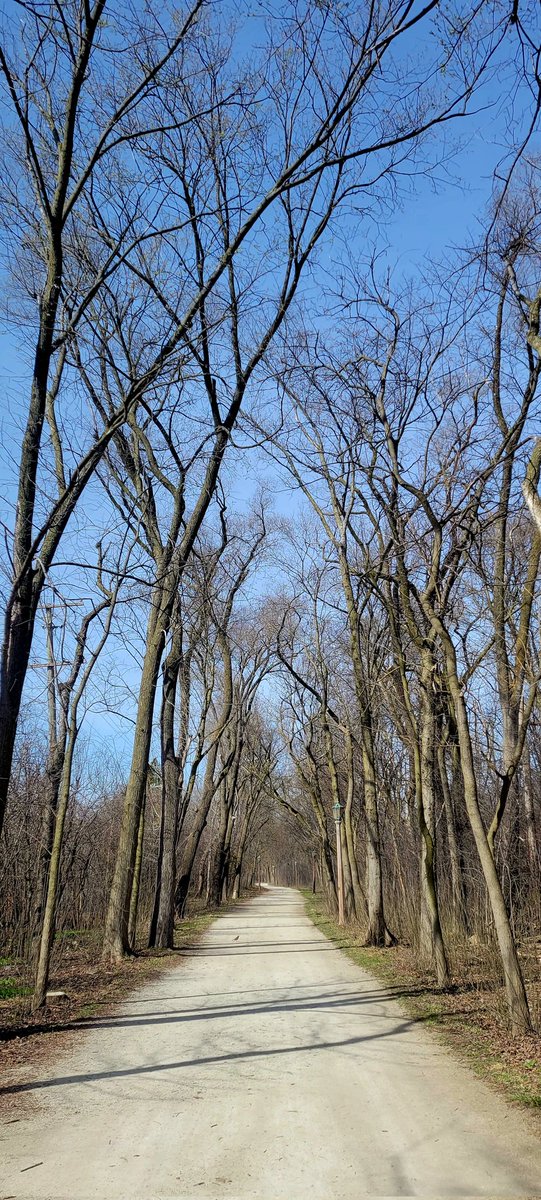 LynnKrizic's tweet photo. Run on the Prairie Path or on the streets? Those are my choices. Much prefer running on asphalt. #runchat #spring #runningchangeseverything #thisis68 https://t.co/2q8jd8Q7Fl