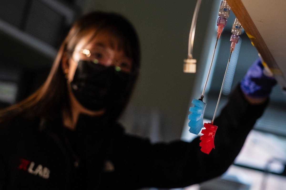 Daniel J Preston tweet media