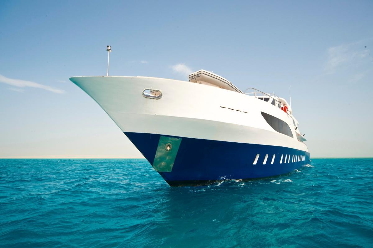 📷EGYPT - TOP LIVEABOARD OFFER: MY ODYSSEY 📷
OUR LUXURY DEAL - SPOIL YOURSELF IN EGYPT 📷
7 &amp; 14 Nights Cruises from APR - SEP 2024
BDE, Best of Tiran, and St Johns 📷📷
starting from EUR 1400 with -15% OFF !! 📷
Whatsapp us for all details:  wa.me/message/IQSBTO…