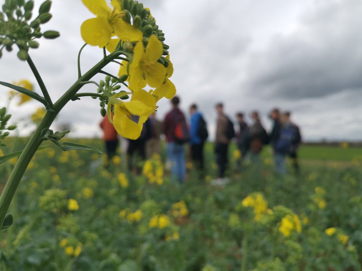 Fantastic day working with @ffdt_uk welcoming A level students to our AgriTech Careers for a Sustainable Future event. @JohnInnesCentre @EarlhamInst