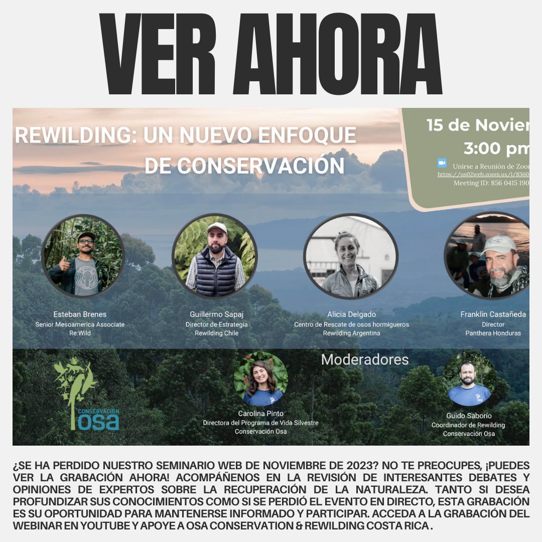 Acompáñenos en la revisión de interesantes debates y opiniones de expertos sobre la recuperación de la naturaleza. Acceda a la grabación del webinar en youtube y apoye a Osa Conservation & Rewilding Costa Rica. ow.ly/uBtj50QPpyC