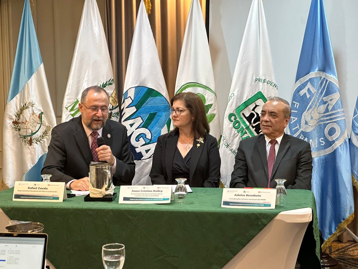 Viceministra de Recursos Naturales y Cambio Climático Anna Cristina Bailey, participó  en el Taller de presentación del programa AIM4Forests y socialización  del Anexo Técnico REDD+