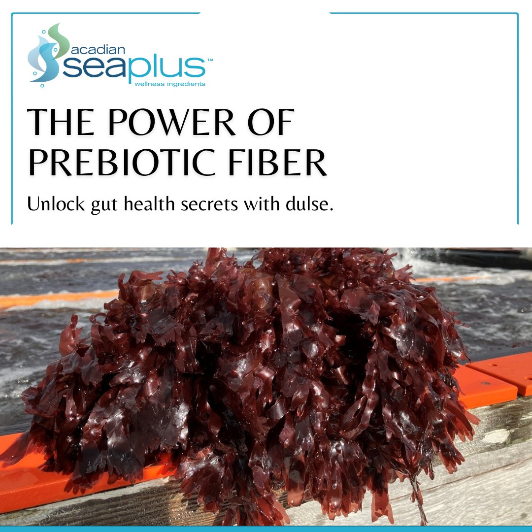 Looking to boost your gut health? Look no further than dulse! This red seaweed isn't just any marine algae — it's packed with prebiotic dietary fiber, specifically a unique xylan, which supports a diverse gut microbiota. Learn more: acadianseaplus.com/contact-us/ #AcadianSeaPlus