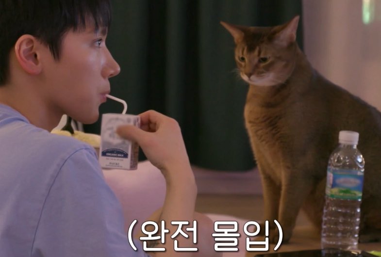 1.ลีออนจะกินนม
2.ลีออนจะกินเตนล์